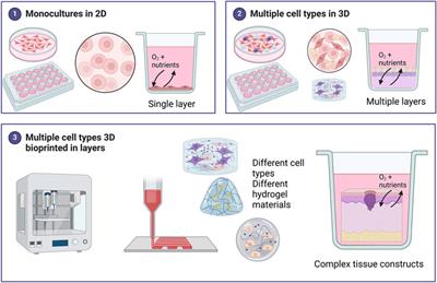 The influence of viscosity of hydrogels on the spreading and migration of cells in 3D bioprinted skin cancer models